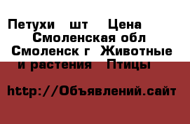 Петухи 2 шт. › Цена ­ 500 - Смоленская обл., Смоленск г. Животные и растения » Птицы   
